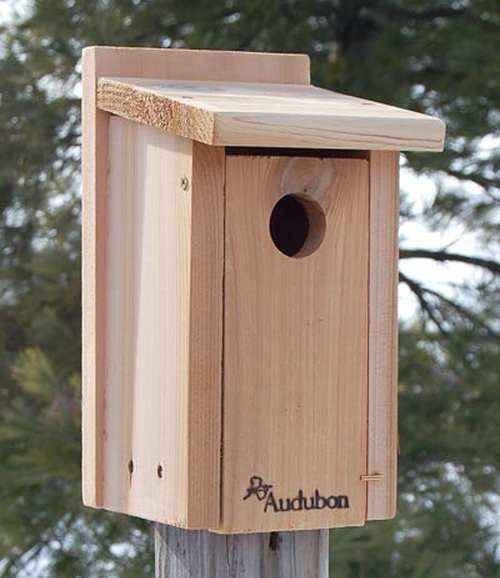 Audubon Cedar Bluebird House